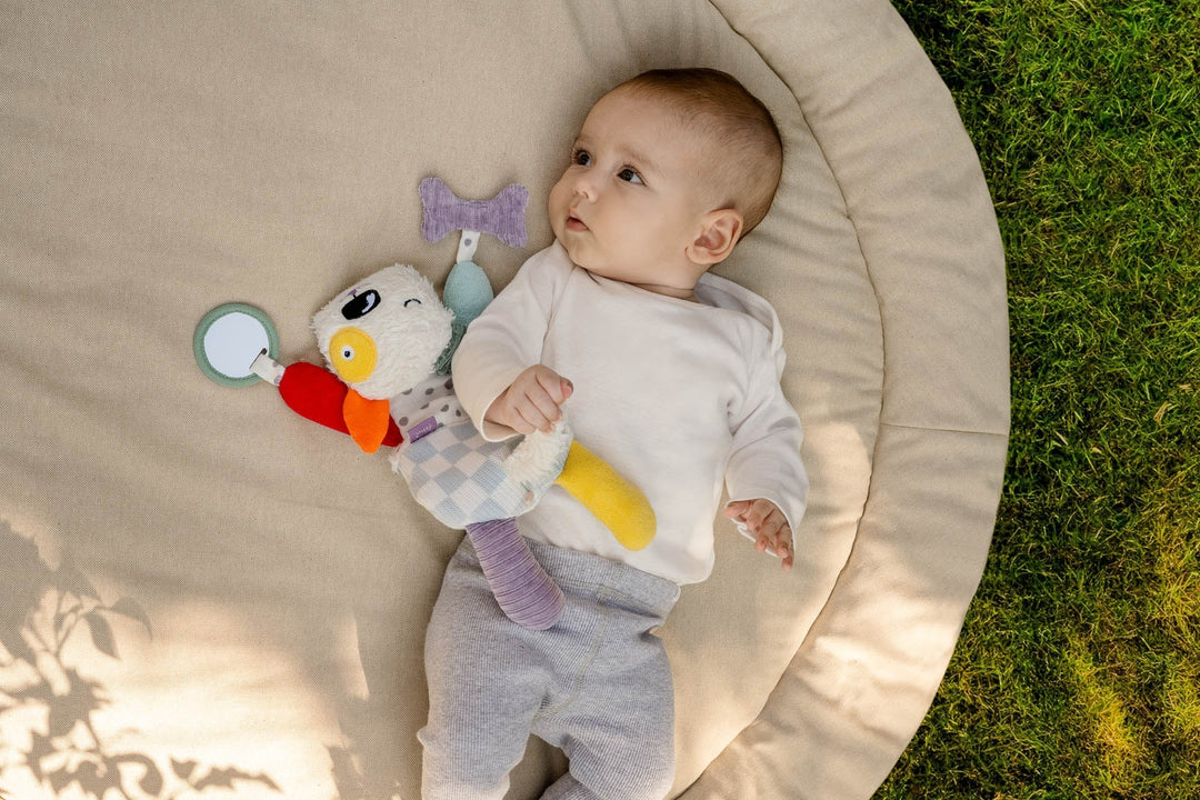 Ein bunter Hund – Dotty, der Held im Babyzimmer!