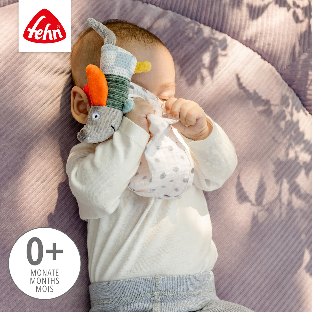 Baby spielt mit  Baby Schmusetuch Hund