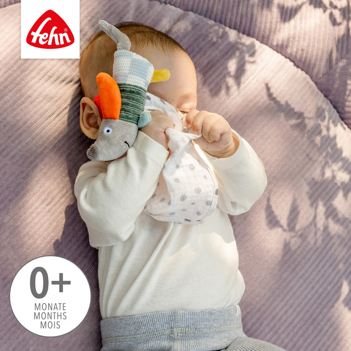 Baby spielt mit  Baby Schmusetuch Hund